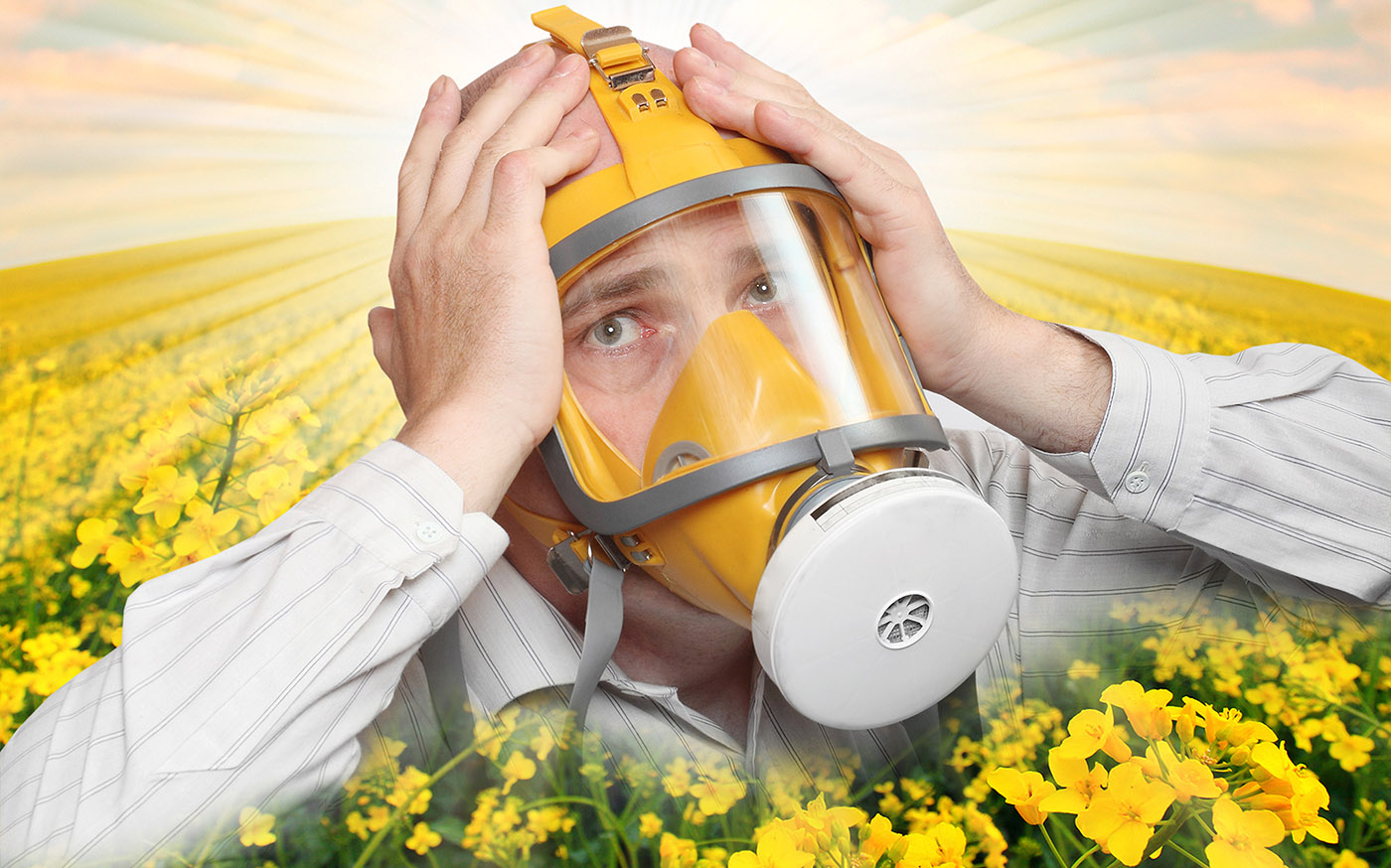 ЩО ТАКЕ АЛЕРГЕНИ?