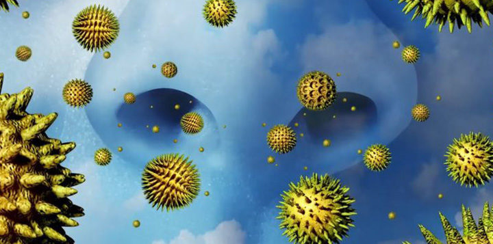 ОСОБЛИВОСТІ ЗАСТОСУВАННЯ АЛЕРГЕНІВ-ДРАЖЕ (СІТ) ТА ВЗАЄМОДІЯ З ІНШИМИ ЛІКАРСЬКИМИ ЗАСОБАМИ